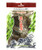 Dashi Dried Seaweed Dashi Dried Seaweed