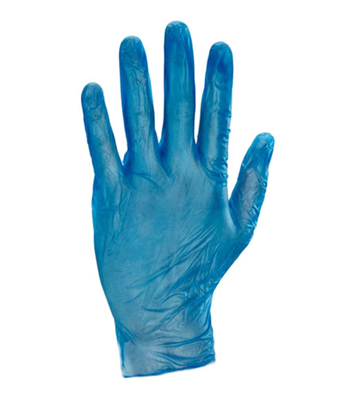 Blue Vinyl Gloves Large Powder Free