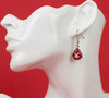 Washington State Teardrop Earrings