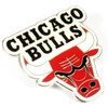 Chicago Bulls GRANDE Logo Pin - 2"