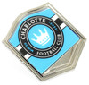 Charlotte Football Framed Logo Pin