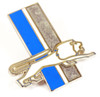 Detroit Lions Vintage Logo Pin