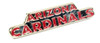 Arizona Cardinals Wordmark Pin