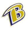 Baltimore Ravens Secondary Logo Pin