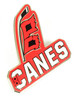 Carolina Hurricanes Secondary Logo Pin