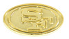 San Francisco 49ers Gold Logo Pin