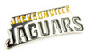 Jacksonville Jaguars Wordmark Pin