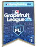 2024 MLB Spring Training Pin - Florida Grapefruit League