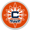 Connecticut Sun WNBA Logo Pin