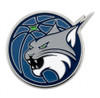 Minnesota Lynx WNBA Logo Pin