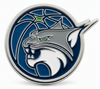 Minnesota Lynx Logo Pin