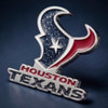 Houston Texans Glitter Pin