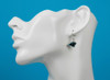 Carolina Panthers Earrings Carolina Panthers Earrings