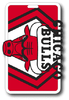 Chicago Bulls Luggage Bag Tag