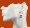 Illinois Earrings