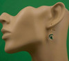 Michigan State Earrings