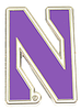 Northwestern Logo Pin