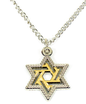 Gold / Silver Star of David Necklace w/ 24" Necklace Chain 