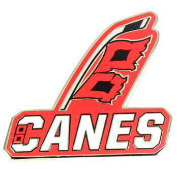 Carolina Hurricanes Secondary Logo Pin