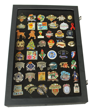 Deluxe Large Pin Collector Display Box - 14" x 10 x 2"