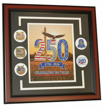 America 250th Anniversary 5-Pin Photo Framed Set