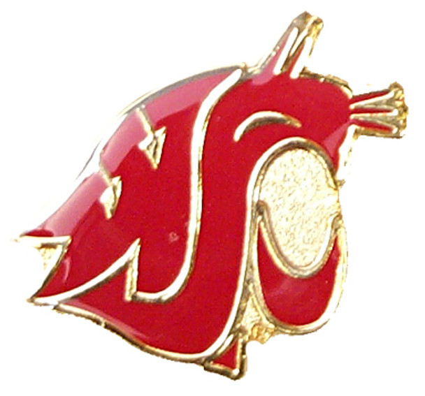 Washington State Logo Pin