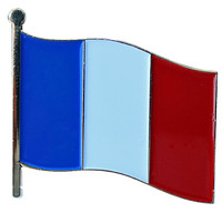 France Flag Pin / French Flag Pin