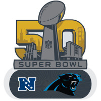 Carolina Panthers 2016 NFC Champions Pin