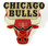 Chicago Bulls Logo Pin