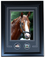 Justify 2018 Triple Crown Winning Bath -  Framed Pin Photo - 19" x 15"