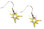 Tampa Bay Rays Star Earrings