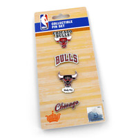 Chicago Bulls Logo Evolution Pin Set