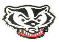 Wisconsin Secondary Logo Pin