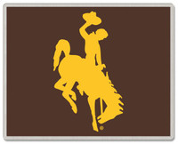 Wyoming Cowboys Logo Pin