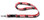 Georgia Lanyard