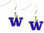 Washington Huskies Earrings