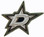 Dallas Stars Logo Pin