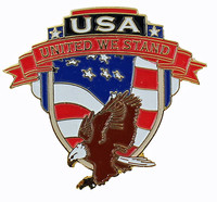 Flying Eagle United We Stand Pin