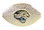 Jacksonville Jaguars 3-DFootball Pin