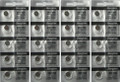  Energizer 317 - SR516 Silver Oxide Button Battery 1.55V - 20 Pack + FREE SHIPPING! 