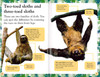 Slow, Slow Sloths Level 2 (Paperback)