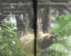 Slow, Slow Sloths Level 2 (Paperback)