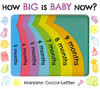 How Big Is Baby Now? (Board Book)