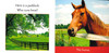 Farm Animals: STEAM Beginnings (Board Book)