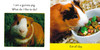 Animals: STEAM Beginnings Set of 4 (Board Book)