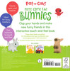 Here Come the Bunnies (Board Book)