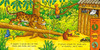 Rain Forest Adventure: Amazing Animals (Board Book)