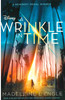 A Wrinkle In Time (Paperback)*