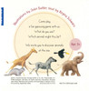 Discover Animals Set of 8 (Board Book)