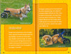 Together Forever!  National Geographic Kids (Hardcover)